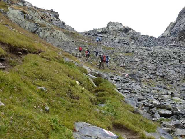 Final ascent to Col de Louvie