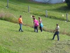Family hand-raking hay, La Sage
