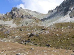 Meidpass (oh, so far to go)