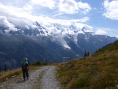 Les Bossons and La Tour glaciers from Planpraz (above Chamonix)